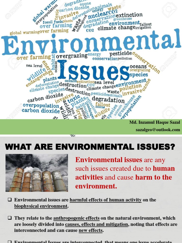Understanding Global Environmental Issues | PDF | Human Impact On The ...