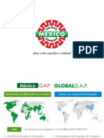 Modelo Global Gap - Mexico
