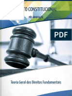 3 - Teoria Geral Dos Direitos Fundamentais 2