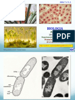 Aulas Formato PDF - Botânica