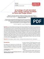 Functional Ecology of Soil Microbial Communities Along A Glacier Forefield in Tierra Del Fuego (Chile)