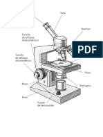 Microscopio