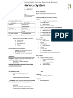 Nervous System 1 PDF