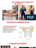 Anatomia 3