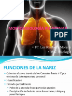 Fisiologia Del Sistema Respiratorio