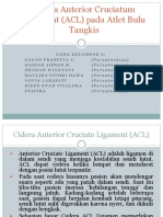 Cidera Anterior Cruciatum Ligament (ACL) Pada Atlet Bulu Tangkis