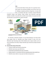 Materi Jaringan Sklerenkim-1