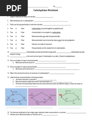 carbohydrates-worksheet-pdf-polysaccharide-carbohydrates