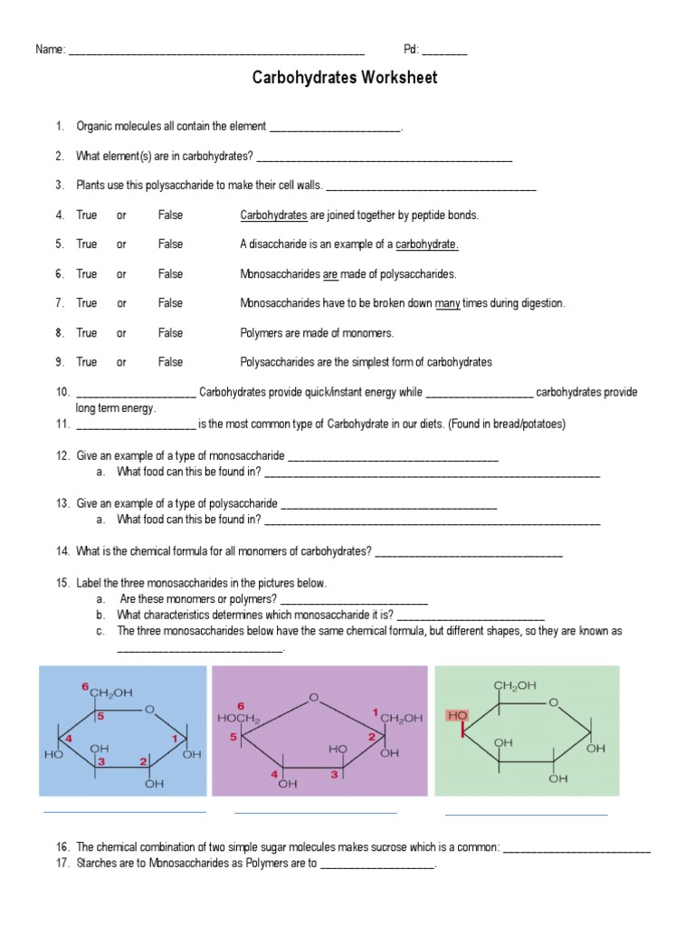 carbohydrates-worksheet-polysaccharide-carbohydrates