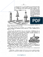 Numeste Apii de Clor: WWW - Digibuc