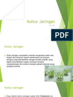 Kultur Jaringan