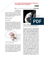 Buccal fat pad flap-1.pdf