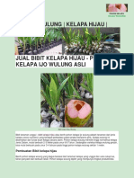 Bibit Kelapa Genjah Jogja WA 085747757565