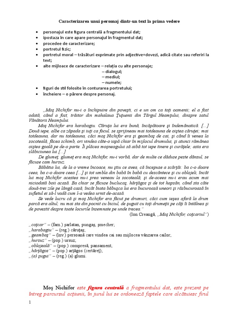 Caracterizarea Unui Personaj La Prima Vedere