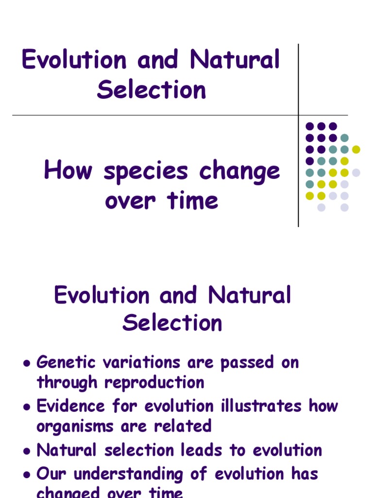 Natural Selection and Evolution Explained | PDF | Natural Selection ...