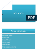 Bola Voli