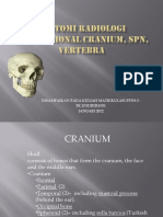 Anatomi Radiologi Konvensional Cranium, SPN, Vertebra