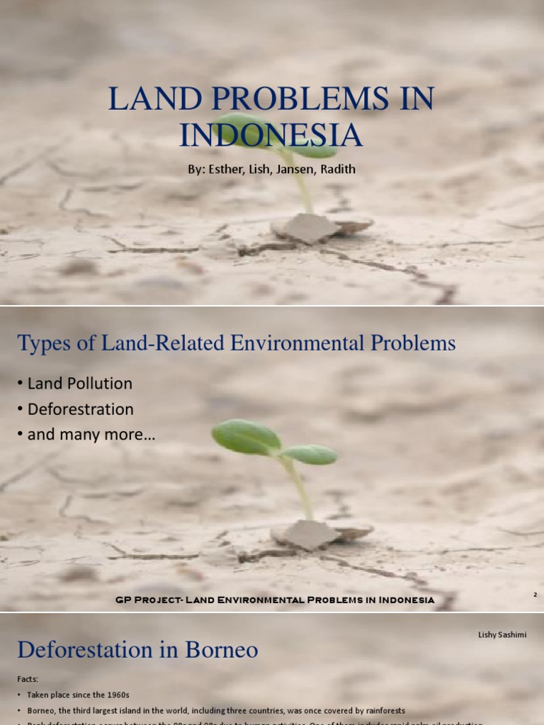 Land Environmental Issues in Indonesia | PDF | Deforestation | Pollution