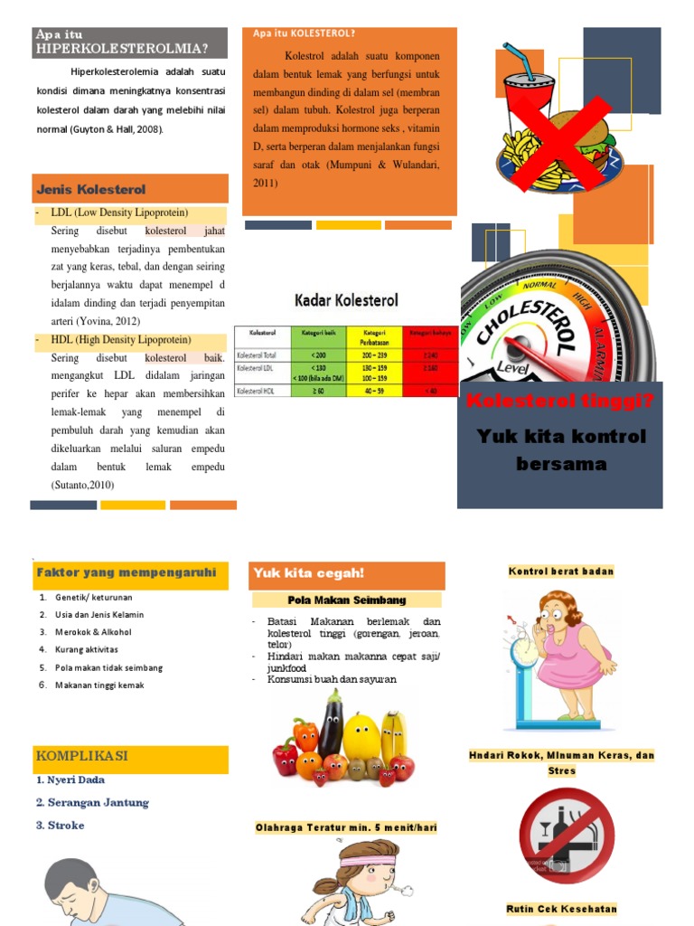 Leaflet Kolesterol