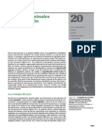 Autoinstructivo_10._Celulas_germinales_y_fecundacion.pdf