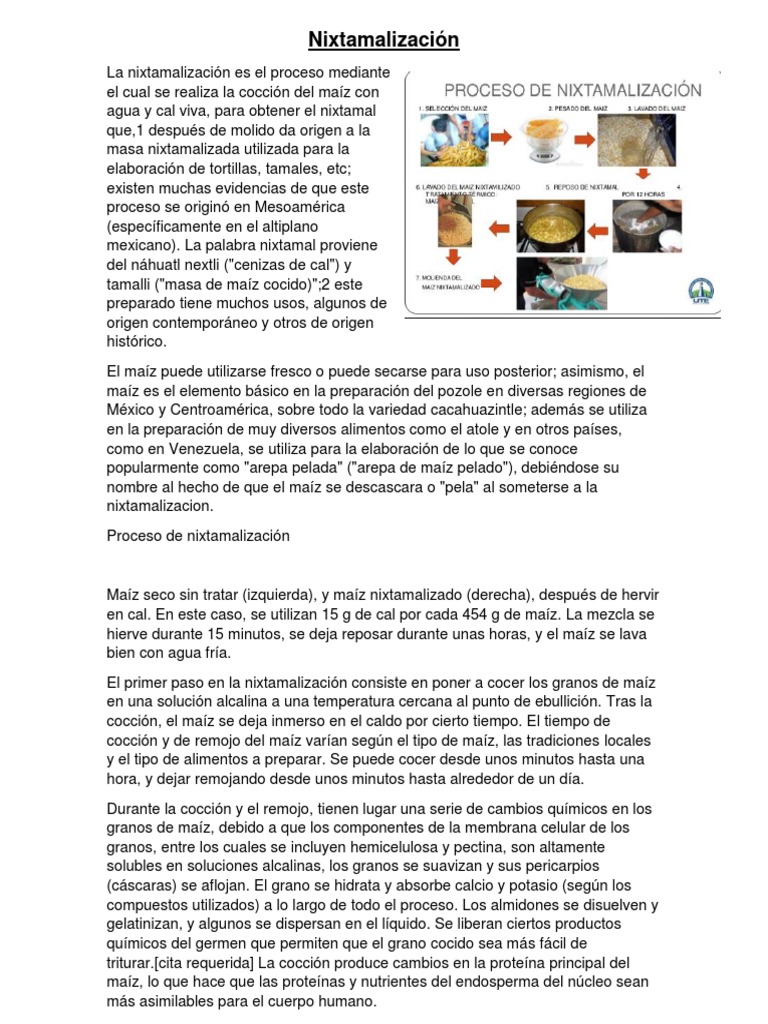 Nixtamalización: Historia y Proceso | PDF | Comida y bebida | Alimentos