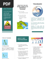 Tsunami: What Do You Do When There Is An Impending Tsunami?