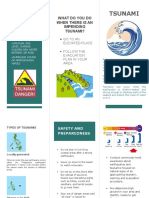 Tsunami: What Do You Do When There Is An Impending Tsunami?