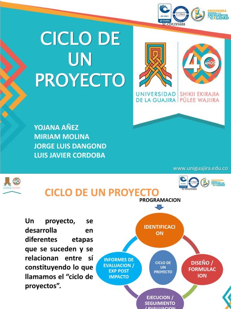 Etapas del Ciclo de un Proyecto | PDF | Planificación | Cognición