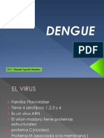 DENGUE