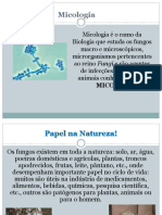 Micologia: Estudo dos fungos