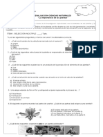 Evaluacion de Las Plants