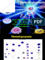 Hematopoyesis-2010-2.pdf
