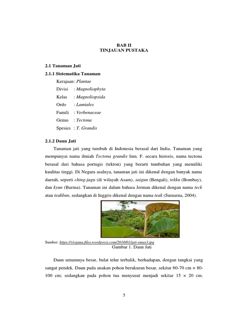 03 BAB II pdf