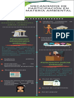 Infografia Mecanismos de Participacion Ambiental - Edwin M