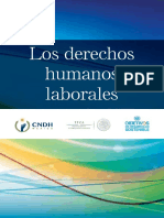 DH Laborales PDF