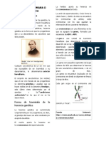 2º TRABAJO PLATAFORMA VIRTUAL PSICOLOGÍA II.docx