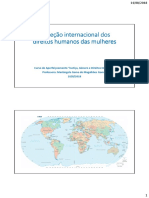 Aula - Protecao Internacional Dos Direitos Humanos Das Mulheres - Slides