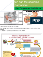 Pencernaan Dan Penyerapan Karbohidrat