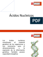 Ácidos  Nucleicos