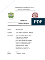 Amacho Informe Modificado