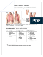 Trauma Toraxico Cerrado Tarea