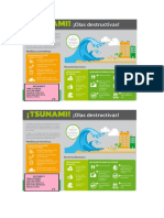 Infografía Tsunami