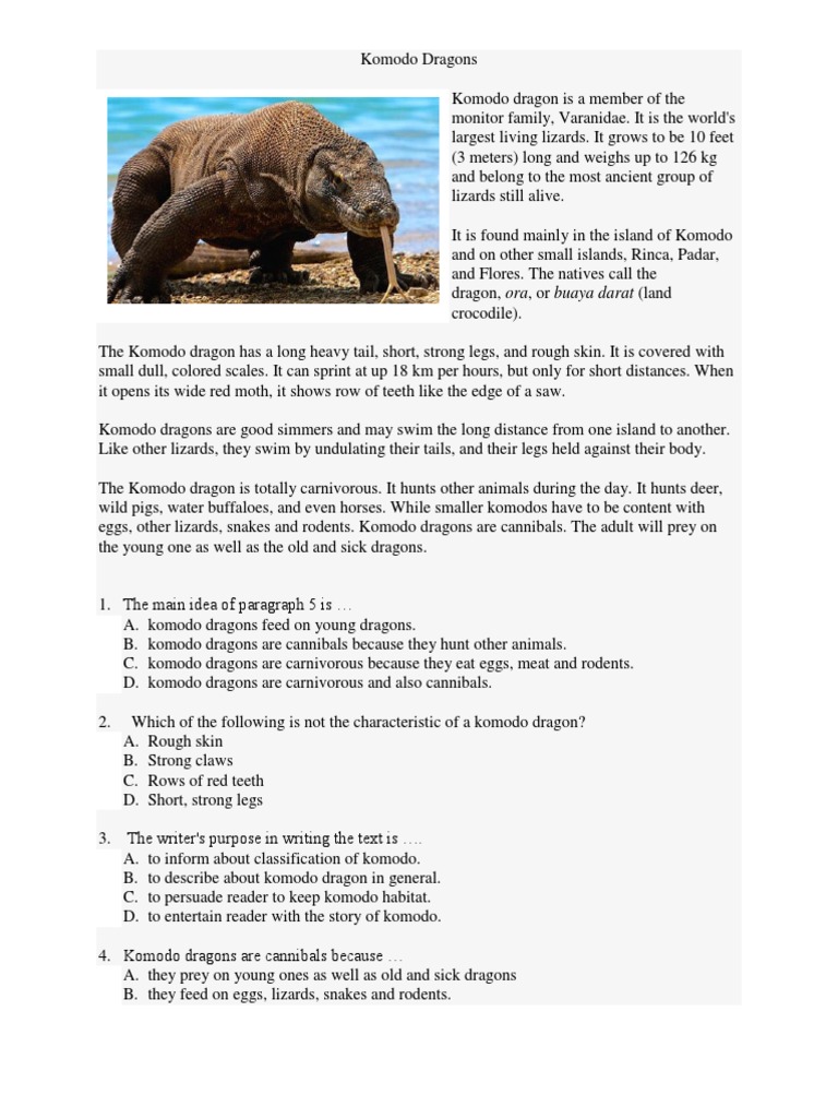 Soal Report Test N Essay1 Komodo Dragon Lizard
