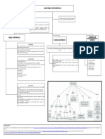 Mapa Conceptual