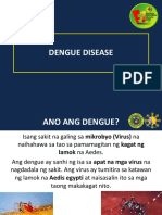 Dengue Prevention and Transmission