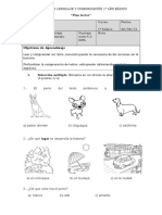 Evaluacion de Un Perro Confundido PDF