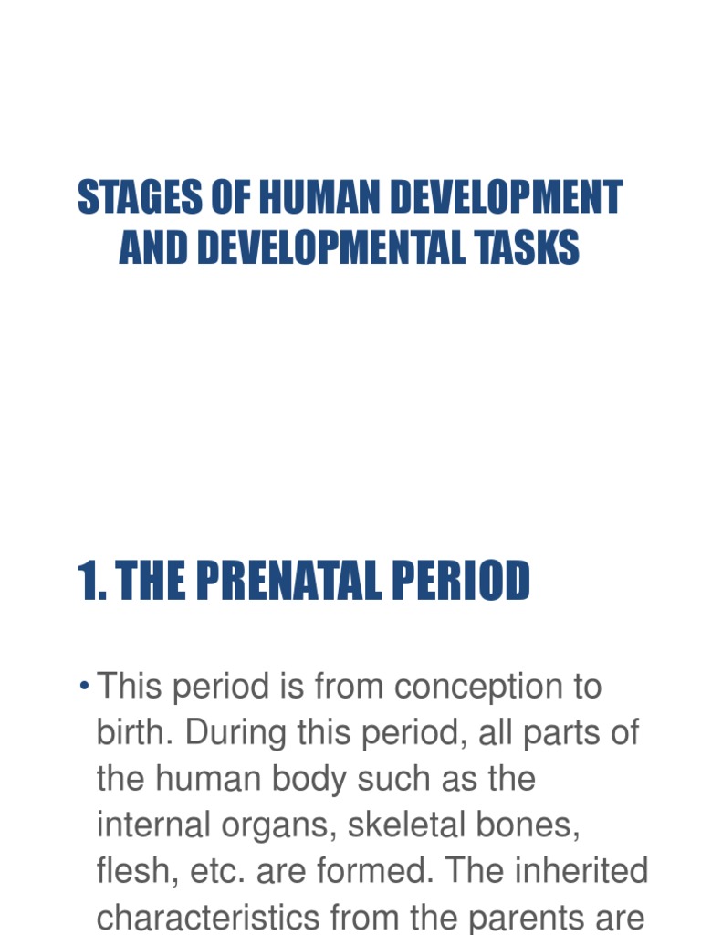 Human Development Stages Explained | PDF