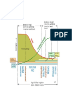 Mining Risk