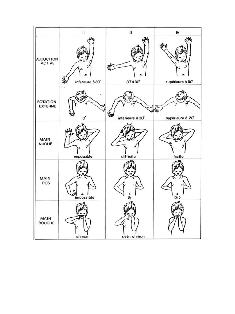 Clasificación de Mallet | PDF