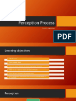 Perception Process: Dagoy, Andre M